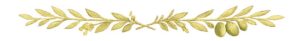 olive brunches divider